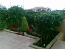 Casas en Venta en Tenerife
