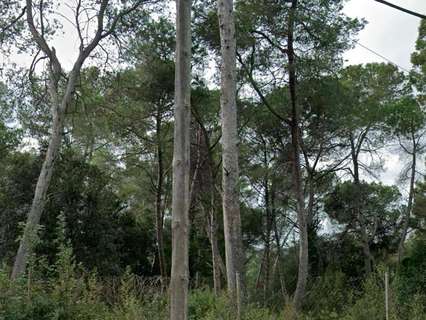 Parcela rústica en venta en Sant Cugat del Vallès