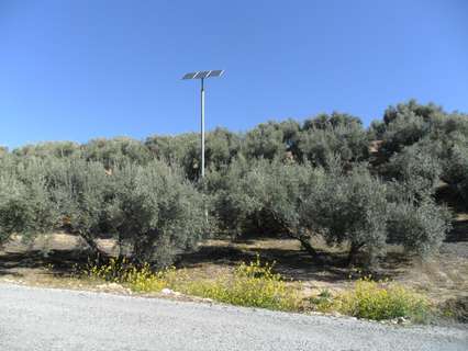 Parcela rústica en venta en Moclín