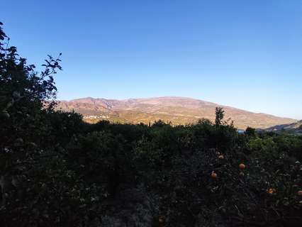 Parcela rústica en venta en El Valle