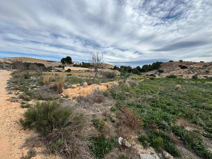 Parcela rústica en venta en Elche/Elx