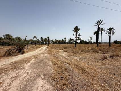 Parcela rústica en venta en Elche/Elx