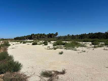 Parcela rústica en venta en Elche/Elx zona La Hoya rebajada