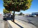 Local comercial en venta en San Miguel de Salinas