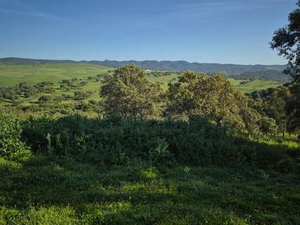 Parcela rústica en venta en Almodóvar del Río