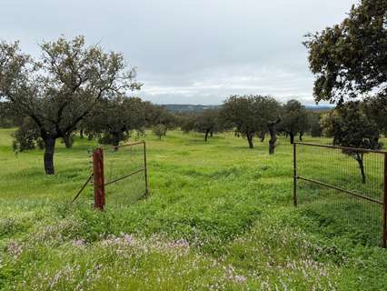 Parcela rústica en venta en Alcaracejos