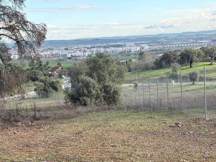 Parcela rústica en venta en Córdoba