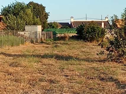 Parcela rústica en venta en Almodóvar del Río