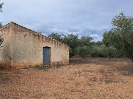 Parcela rústica en venta en Freginals