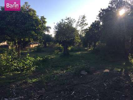 Parcela rústica en venta en Córdoba