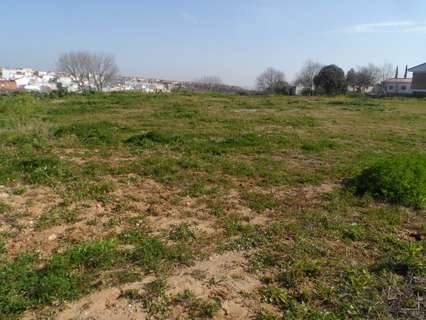 Parcela rústica en venta en Córdoba