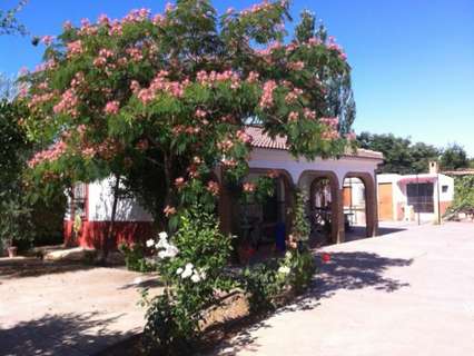 Parcela rústica en venta en Córdoba