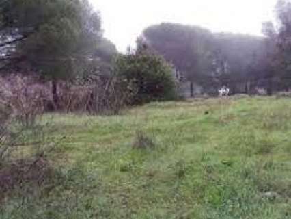 Parcela rústica en venta en Córdoba