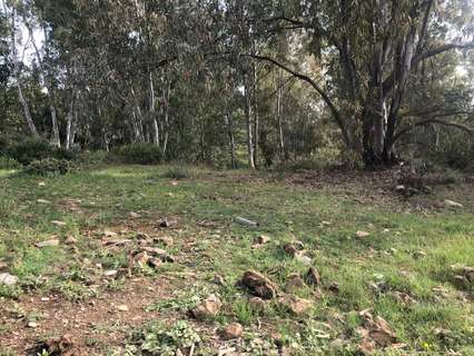 Parcela rústica en venta en Córdoba
