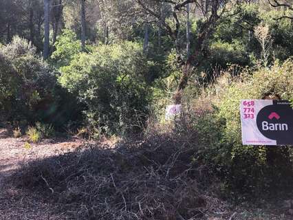 Parcela rústica en venta en Córdoba