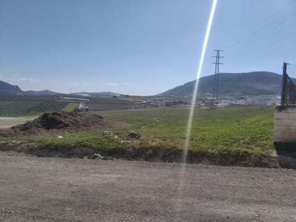 Parcela rústica en venta en Estepa
