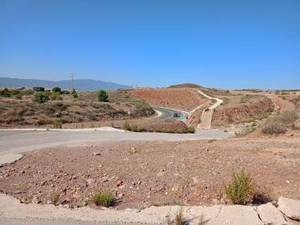 Parcela industrial en alquiler en Murcia zona Javalí Viejo