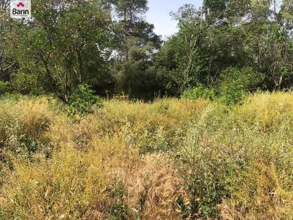 Parcela rústica en venta en Córdoba