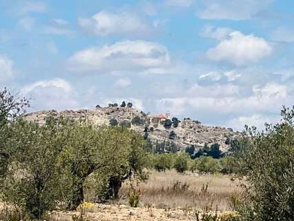 Parcela rústica en venta en Yecla