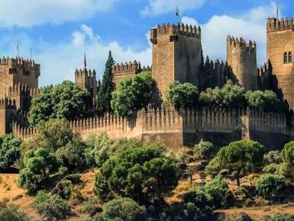 Parcela rústica en venta en Almodóvar del Río