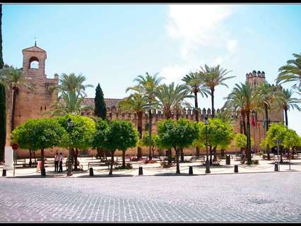 Local comercial en alquiler en Córdoba