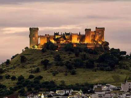 Casa en venta en Almodóvar del Río