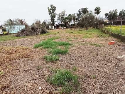 Parcela rústica en venta en Córdoba