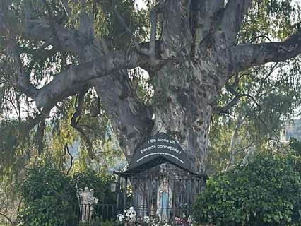 Parcela rústica en venta en Córdoba