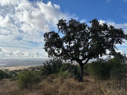 Parcela rústica en venta en Córdoba