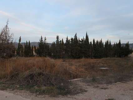 Parcela rústica en venta en Tortosa