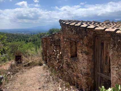 Parcela rústica en venta en Tortosa