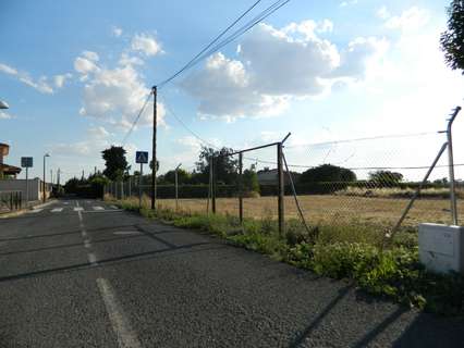 Parcela rústica en venta en Ciudad Real