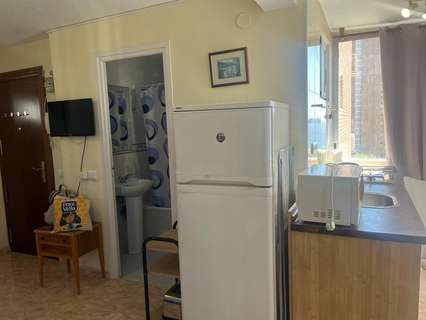 Estudio en alquiler en Benidorm