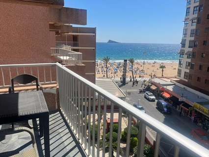 Apartamento en alquiler en Benidorm