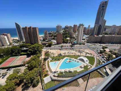 Apartamento en alquiler en Benidorm