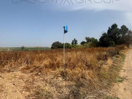 Parcela rústica en venta en Almacelles