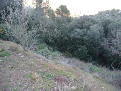 Parcela rústica en venta en Matadepera