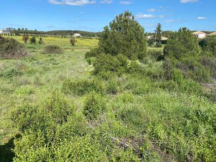 Parcela rústica en venta en Aljaraque