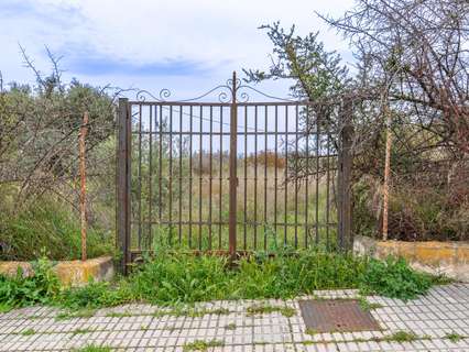 Parcela rústica en venta en Albolote