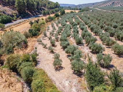 Parcela rústica en venta en Deifontes