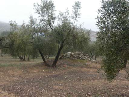 Parcela rústica en venta en Peligros