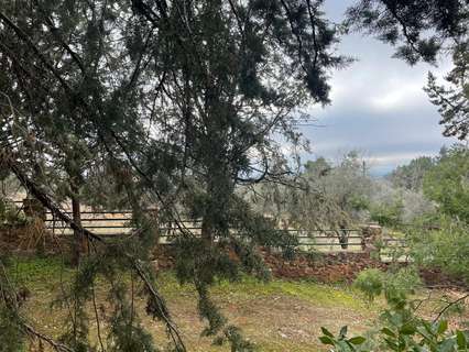 Chalet en venta en Piedrabuena