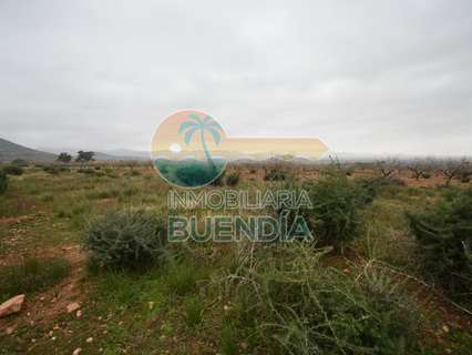 Parcela rústica en venta en Cartagena