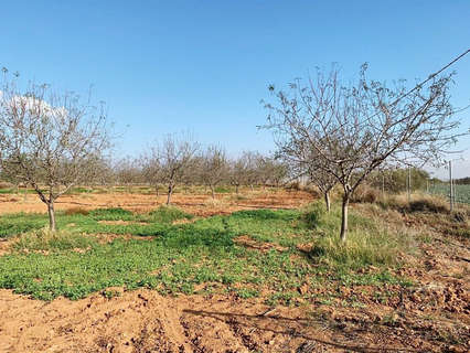 Parcela rústica en venta en Cartagena