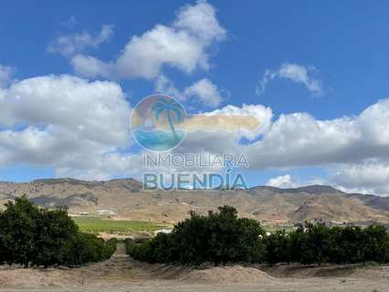 Parcela rústica en venta en Lorca