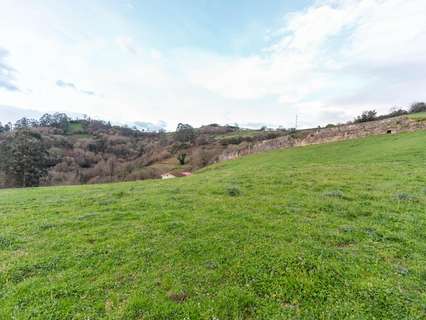 Parcela rústica en venta en Oviedo