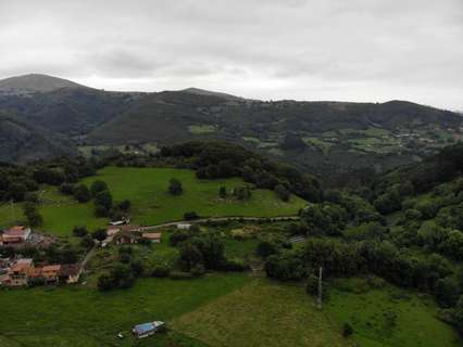 Parcela rústica en venta en Grado