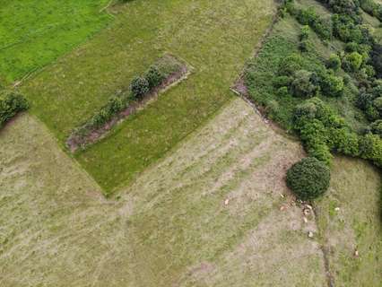 Parcela rústica en venta en Grado