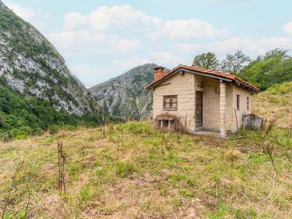 Casa en venta en Amieva rebajada