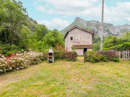 Casa en venta en Somiedo